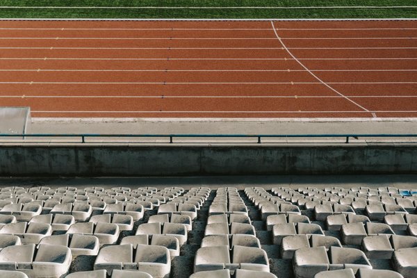 La lucha por la gloria en el deporte de combate